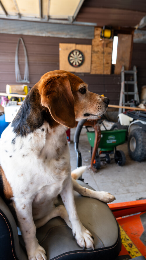 Blacksmithing Shoot 8 6 23 2